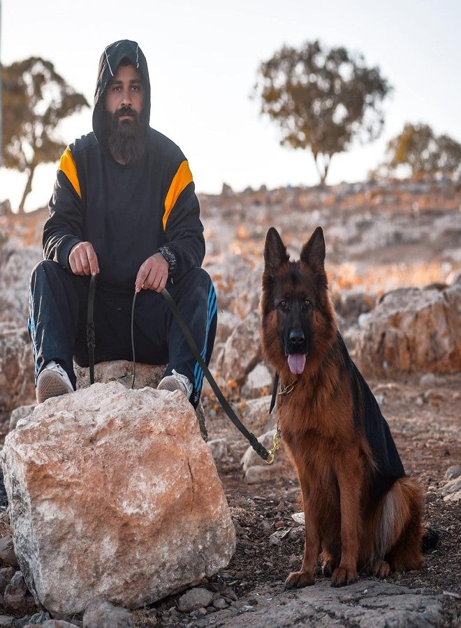 RoverPets طوق كلاب من الجلد من روفر بيتس بطول 6 أقدام - طوق تدريب ومشي شديد التحمل مع حزام قوي 5 سم، مشبك خطاف نحاسي، طوق متين للحيوانات الأليفة للكلاب المتوسطة والكبيرة (أسود) - Image 2